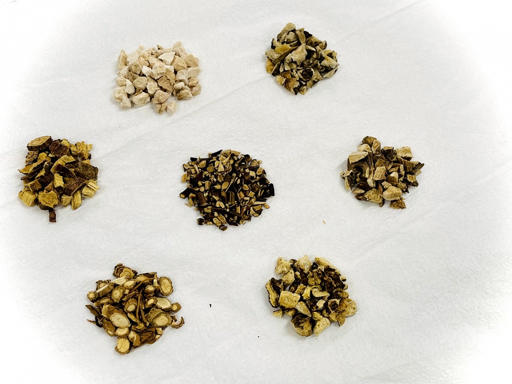 釣藤散（ちょうとうさん